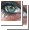 Contains New Posts